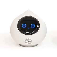 会話AIロボットRomi（Lacatanモデル）