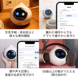 会話AIロボットRomi（Lacatanモデル）