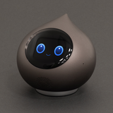 【月会費3ヶ月・返品保証付き】会話AIロボットRomi（Lacatanモデル）