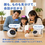 【返品保証付き】会話AIロボットRomi（Lacatanモデル）